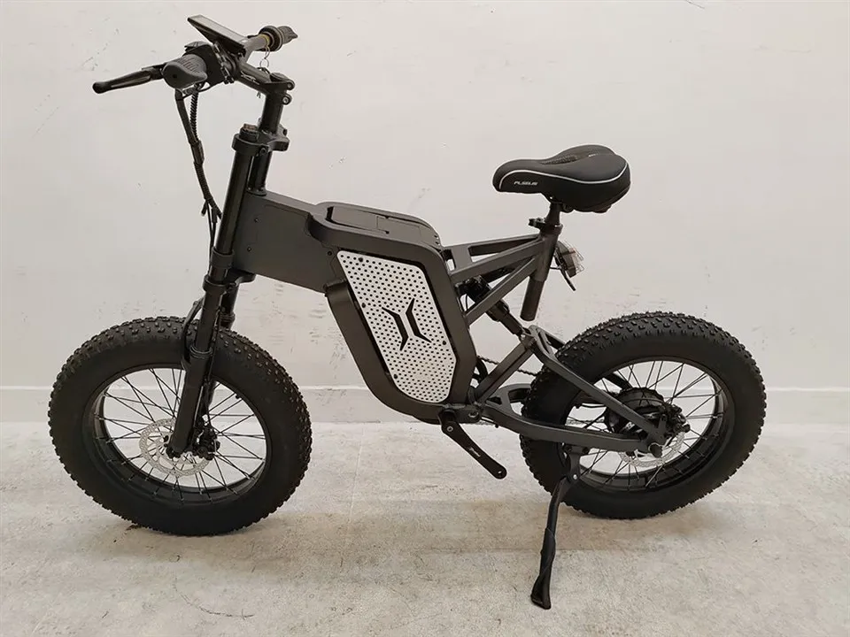 Tire Mountain E-Bike For Adults