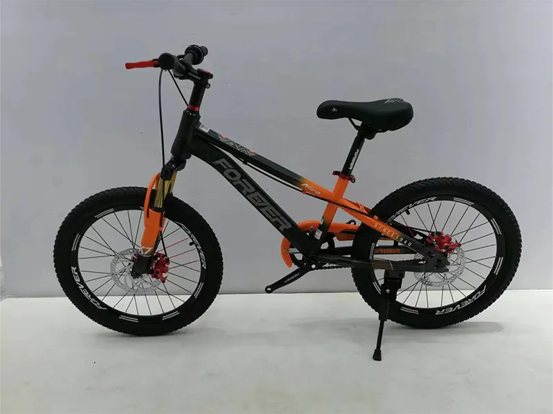 22 Pulzier Sports Outdoor Bike tat-Tfal