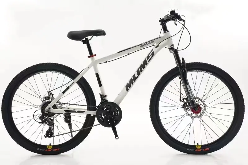 Bidu Mountain Bike