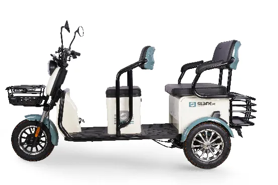 Anzjani Leisure Scooter